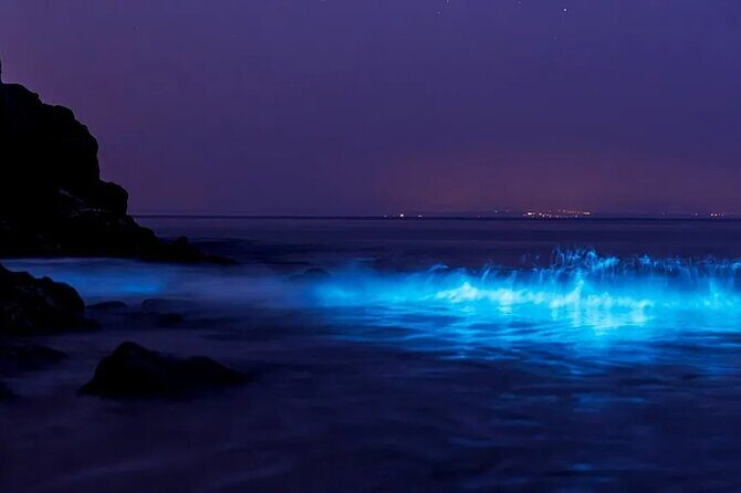 Phi Phi and 4 Islands sunset tour plus BBQ Dinner and Plankton - The Sum Up