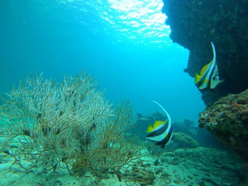 Phi Phi & Bamboo Islands: Premium Day Trip w/ Seaview Lunch - How the Tour Works: From Phuket to Paradise