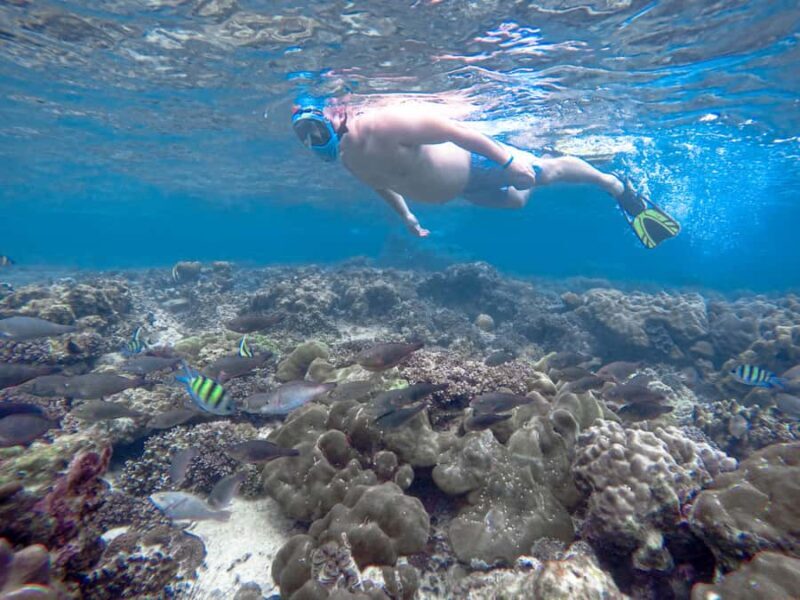 Phi Phi & Bamboo Islands: Premium Day Trip w/ Seaview Lunch - Monkey Beach: A Fun Photo Stop and Wildlife Encounter