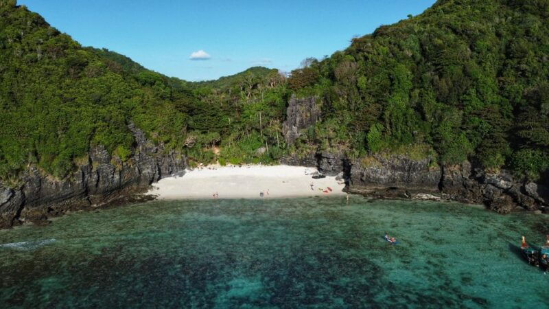 phi-phi-guided-jungle-trek-night-swim-with-plankton