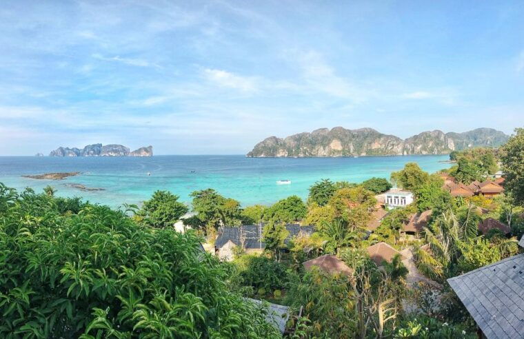 phi-phi-guided-jungle-trek-night-swim-with-plankton