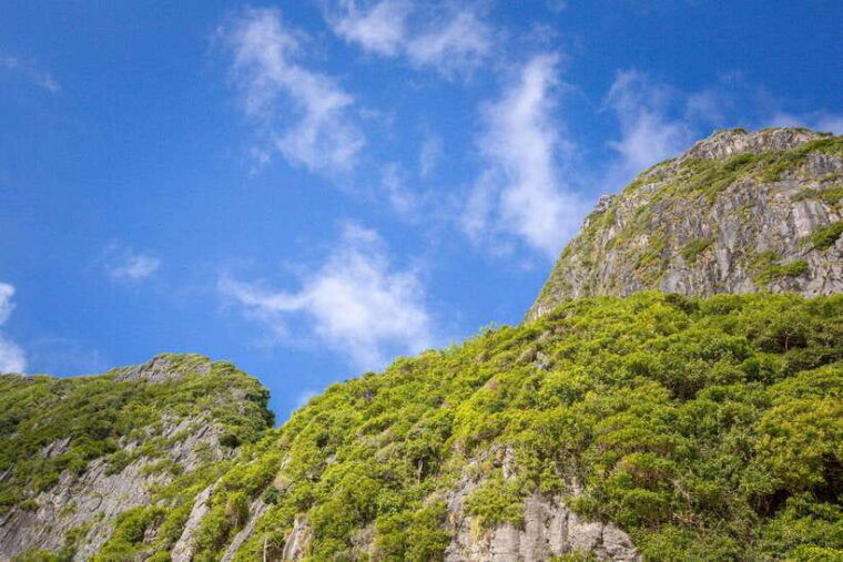 phi-phi-half-day-or-full-day-by-longtail-to-maya-and-bamboo