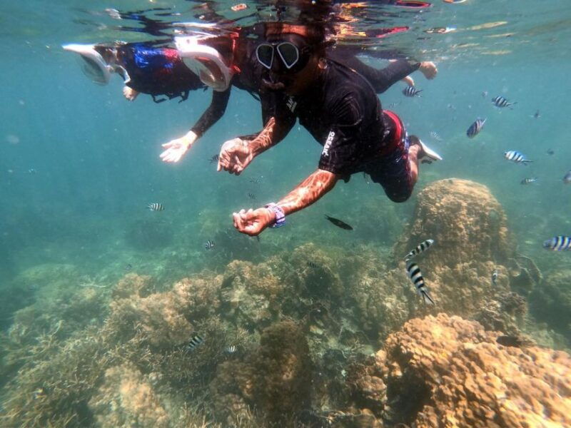 phi-phi-half-day-phi-phi-snorkeling-trip-by-longtail-boat