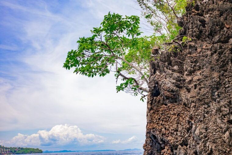 phi-phi-half-day-phi-phi-snorkeling-trip-by-longtail-boat