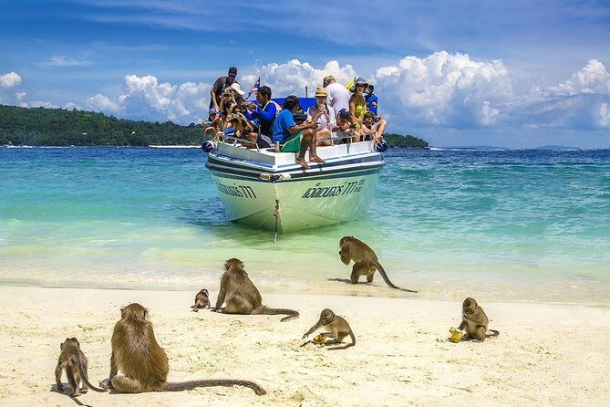 Phi Phi Island Tour by Speedboat from Krabi including Lunch (SHA Plus) - Practical Tips for Your Trip