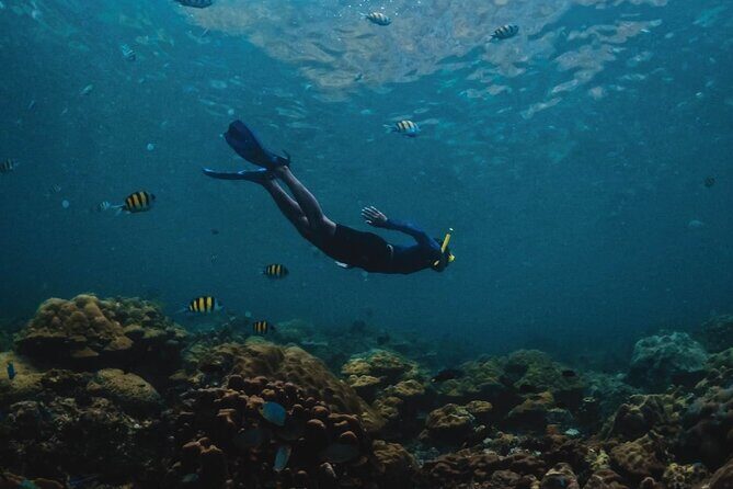 Phi Phi Islands Cruise with Lunch & Sea View Seats from Phuket - Final Thoughts