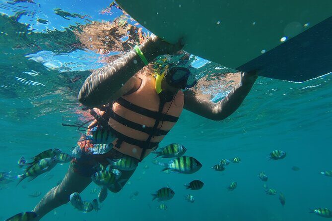 Phi Phi Islands Lagoon Adventure Snorkeling Seaview & Lunch Tour - Who Will Love This Tour