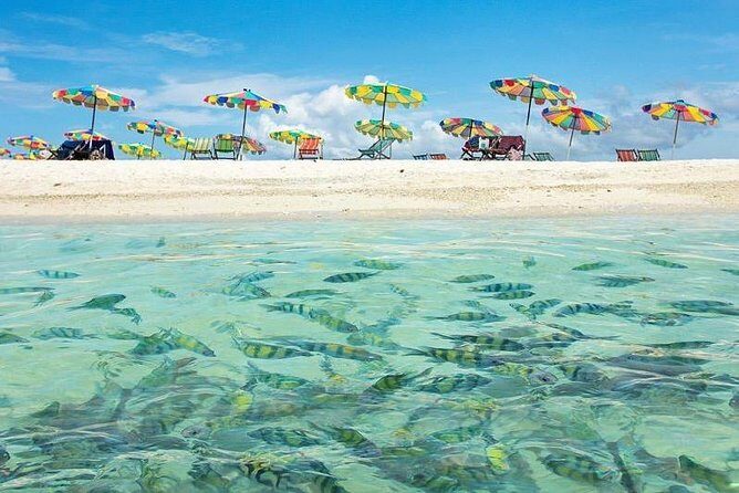 Phi Phi Maya Bay Khai Island By Speed Boat - FAQ