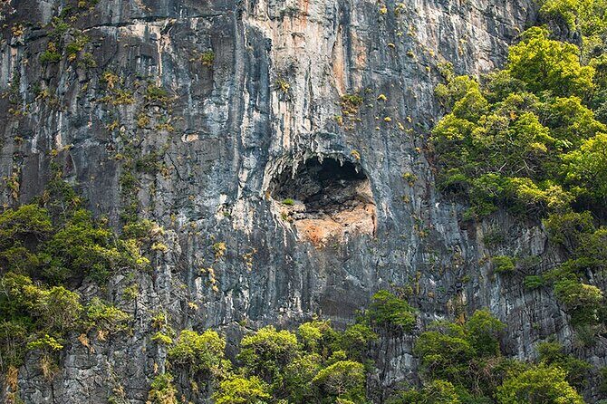 Phi Phi, Maya, Khai and Pileh Day Trip by Speed Catamaran From Khao Lak - Final Thoughts