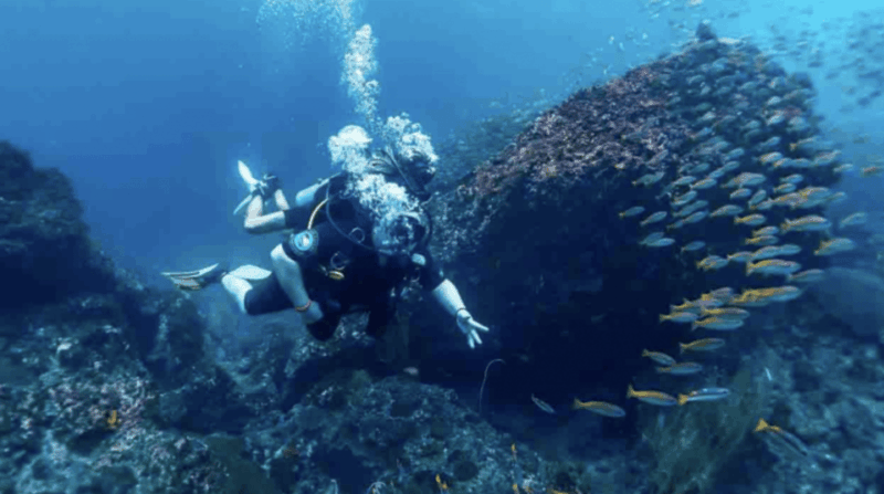 phi-phi-scuba-diving-with-portuguese-speaking-instructor