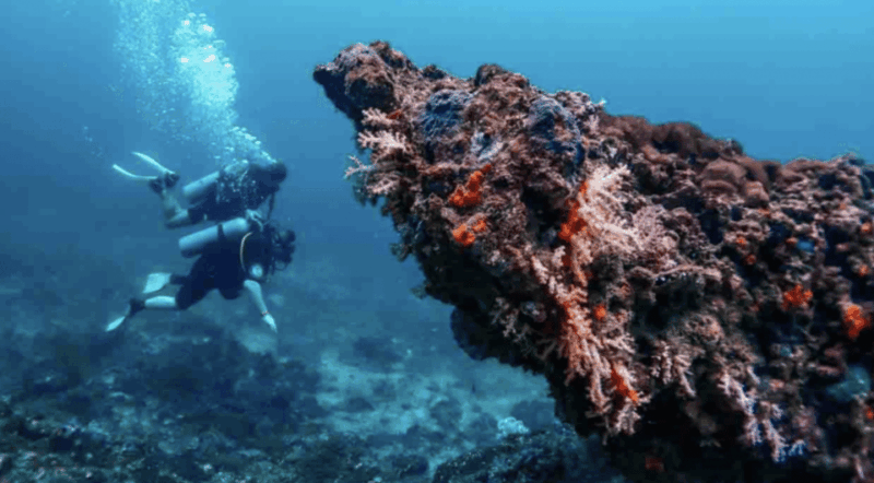 phi-phi-scuba-diving-with-portuguese-speaking-instructor