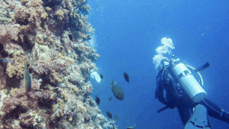 phi-phi-scuba-diving-with-portuguese-speaking-instructor