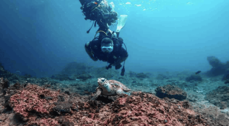 phi-phi-scuba-diving-with-portuguese-speaking-instructor