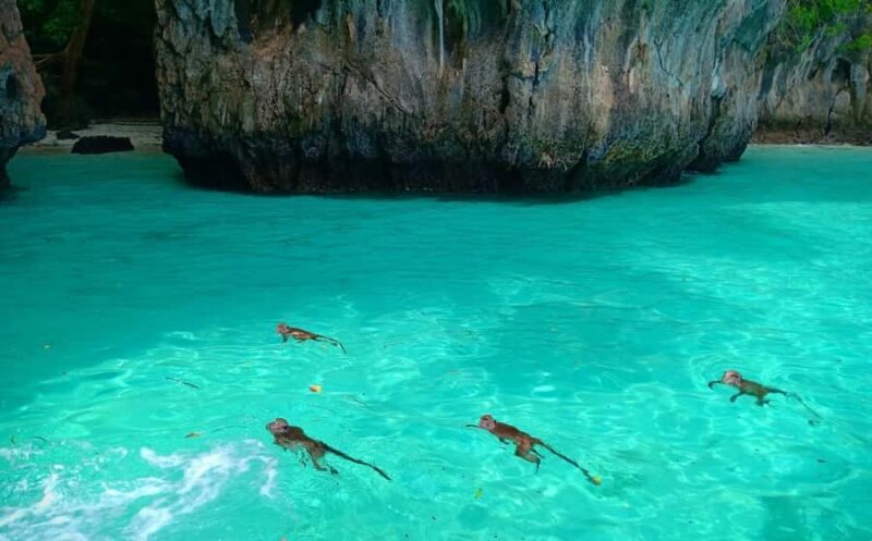 Phi Phi: Sunrise & Beat The Crowds to Maya Bay by Speedboat - Who Is This Tour Perfect For?
