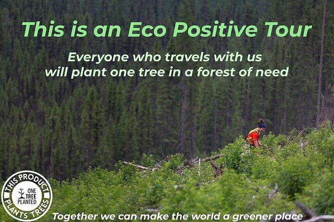 philadelphia-and-amish-country-1-day-tour-from-nyc-2