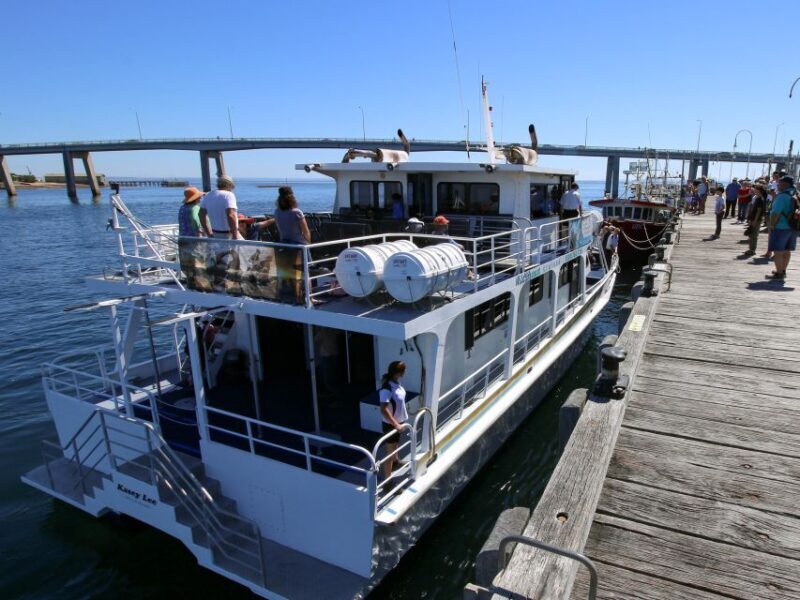 Philip Island: Dolphin and Whale Cruise - The Authentic Wildlife Experience