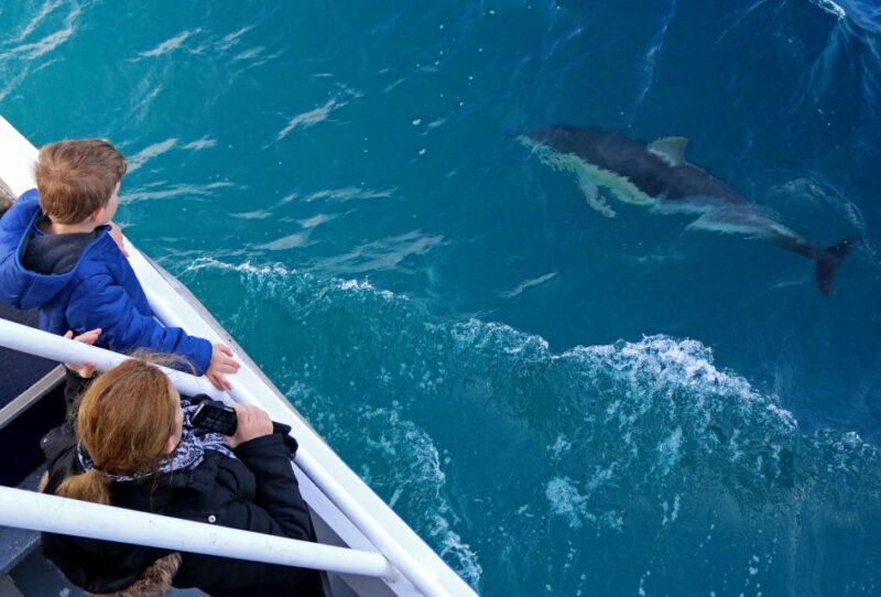 Philip Island: Dolphin and Whale Cruise - The Sum Up