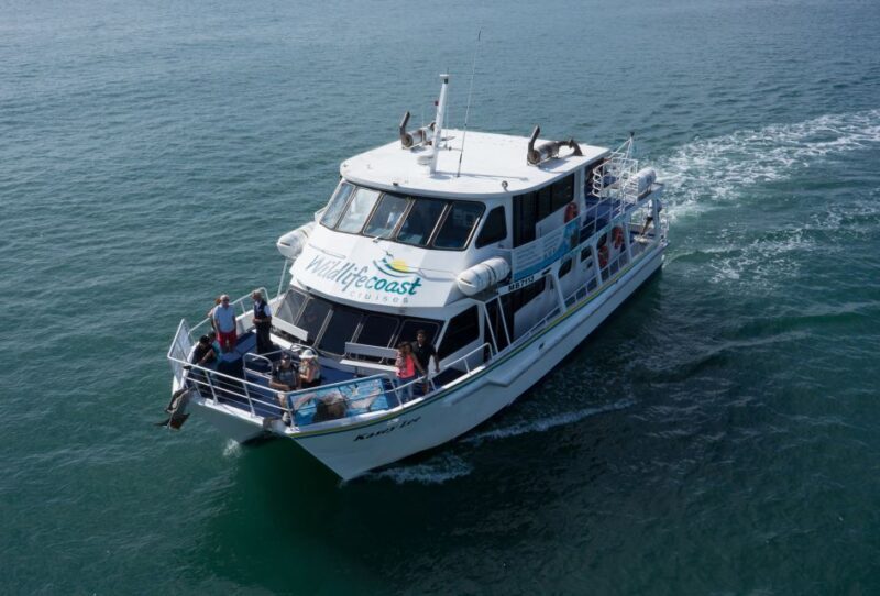 Philip Island: Dolphin and Whale Cruise - FAQ