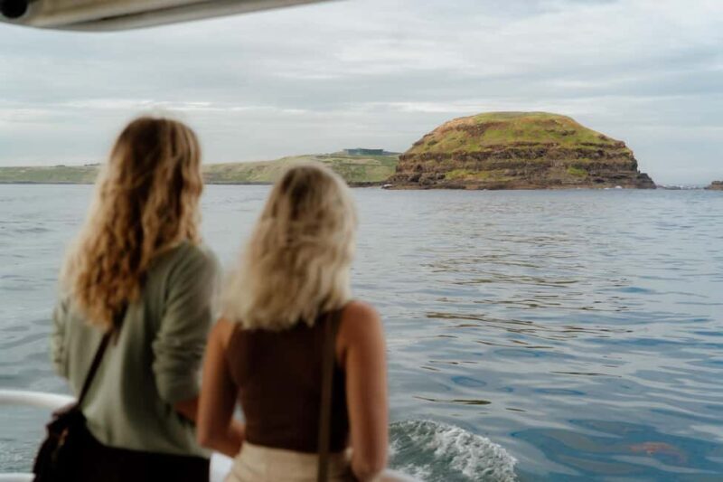 Philip Island: Seal Watching Cruise - The Itinerary and What You Can Expect