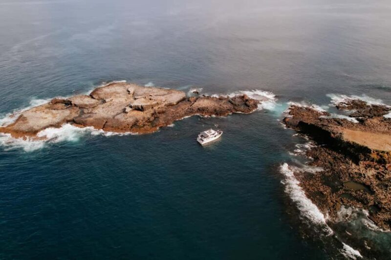Philip Island: Seal Watching Cruise - Final Thoughts: Why You Should Consider This Cruise