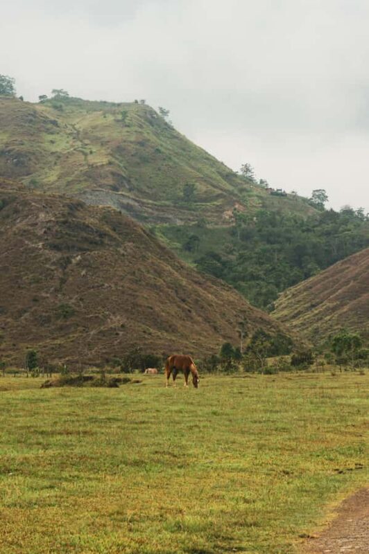 Philippines, Bukidnon Private Horseback Ride & Tribal Picnic - FAQ