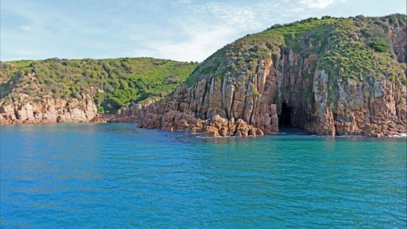 Phillip Island: 1-Hour Cape Woolamai Scenic Cruise - An In-Depth Look at the Experience