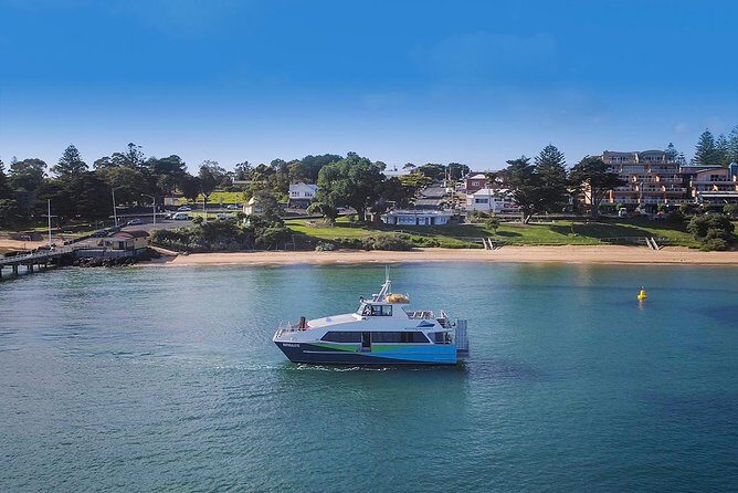 Phillip Island and French Island Wildlife Expedition - Transport and Group Size