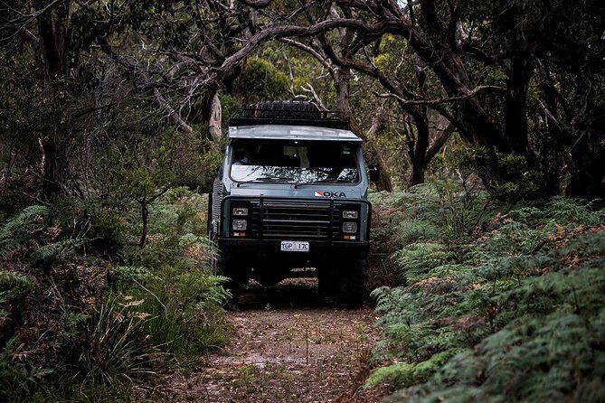 Phillip Island and French Island Wildlife Expedition - Frequently Asked Questions