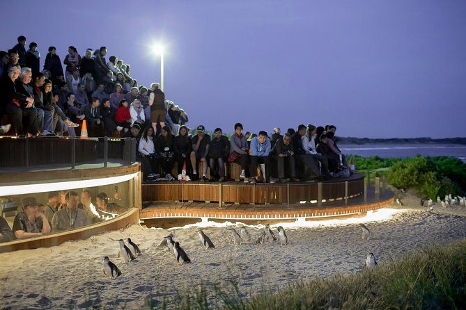 Phillip Island Day Trip from Melbourne with Penguin Plus Viewing Platform - Stop 1: Phillip Island Koala Conservation Reserve