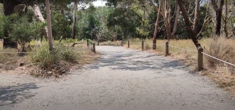 Phillip Island Driving Tour with an APP - Key Points