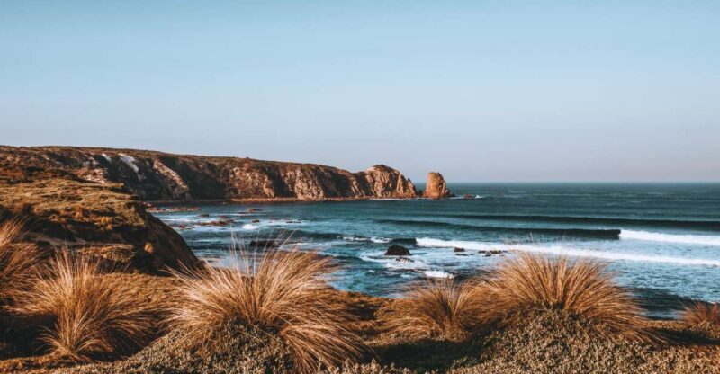 Phillip Island: Hike and Penguin Parade - 8 pax Small Tour - Transportation and Overall Experience