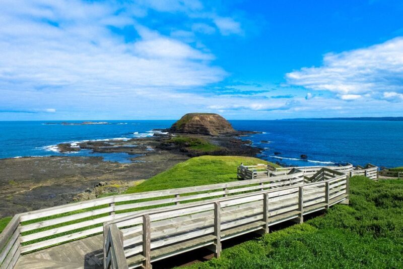 Phillip Island: Hike and Penguin Parade - 8 pax Small Tour - Value and Cost Analysis