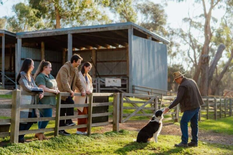 Phillip Island: Hop-On Hop-Off Bus Tour - Who Would Love This Tour?