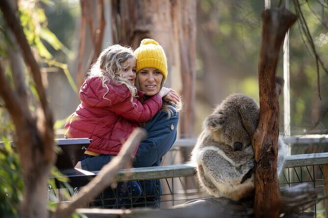 Phillip Island Penguin and Koala Highlights Day-Trip from Melbourne - What Travelers Say About the Tour