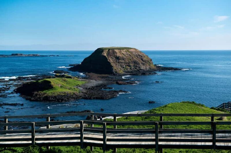 Phillip Island Penguin Direct Sunset Tour - What Reviewers Say