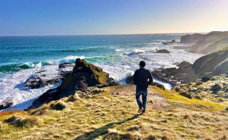 Phillip Island Penguin Parade Afternoon Tour from Melbourne - Key Points