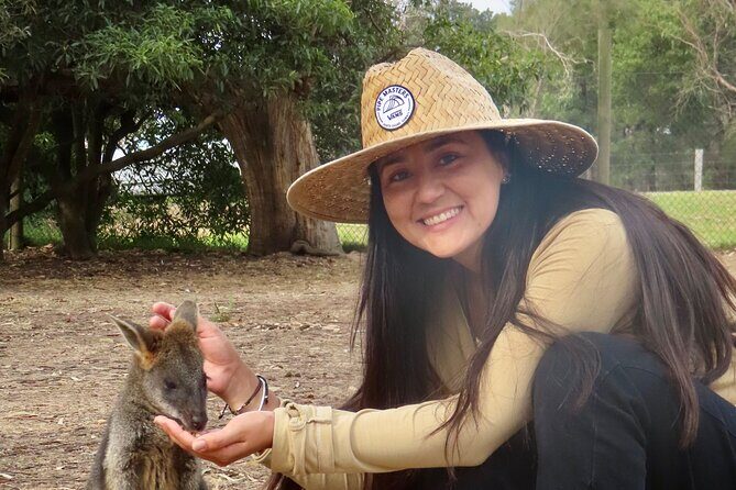 Phillip Island Penguin Parade and Wildlife Tour from Melbourne - Detailed Review of the Tour Experience