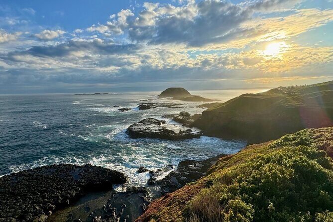Phillip Island Penguin Parade Express Tour from Melbourne - Who Should Consider This Tour?
