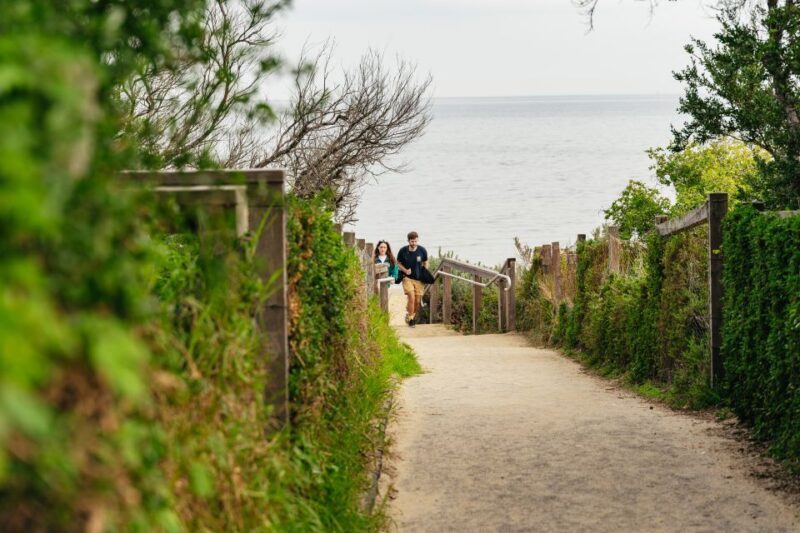 Phillip Island Penguin Parade with Expert Local Guide - Key Points