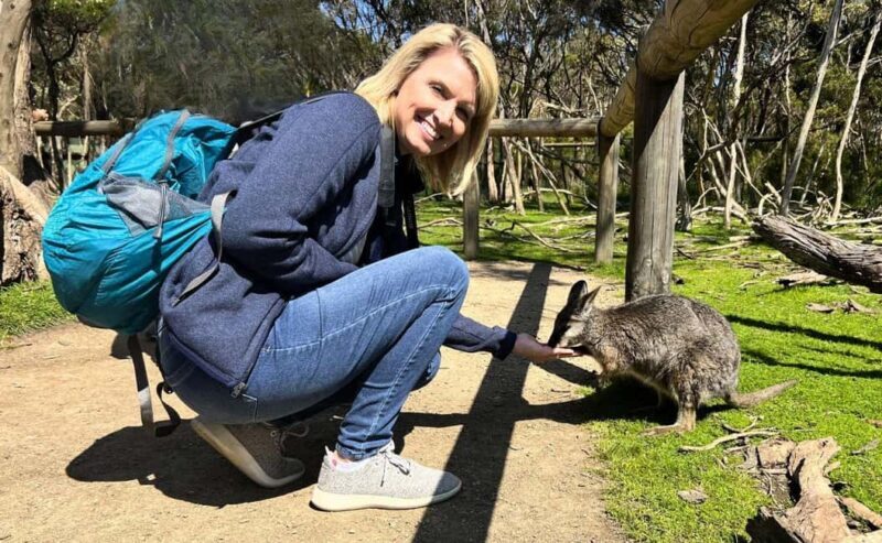 Phillip Island Penguin Parade with Expert Local Guide - Final Words