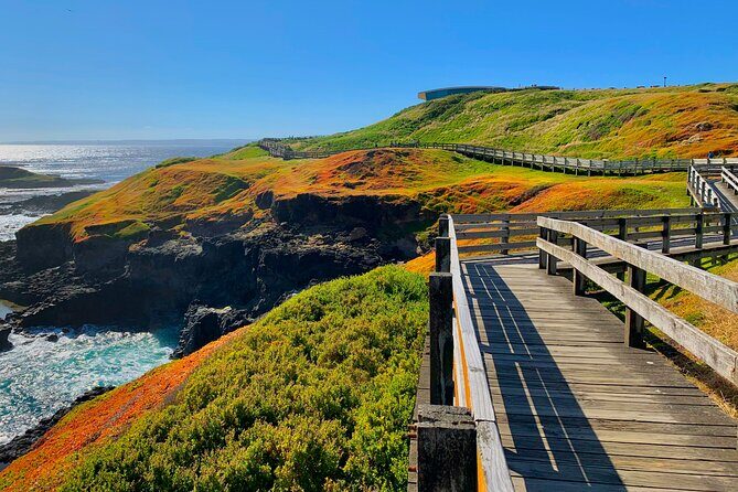 Phillip Island Private Tour: Penguin Parade & Wildlife Day - Frequently Asked Questions (FAQs)
