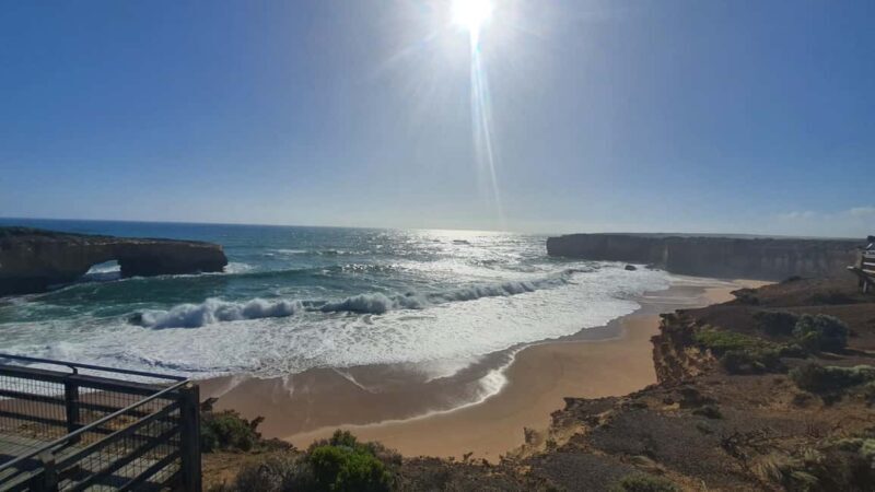 Phillip Island: Private Tour with Penguin Parade - An In-Depth Look at the Phillip Island Private Tour  