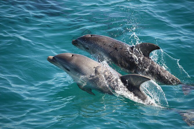 Phillip Island Sunset Cruise - FAQ