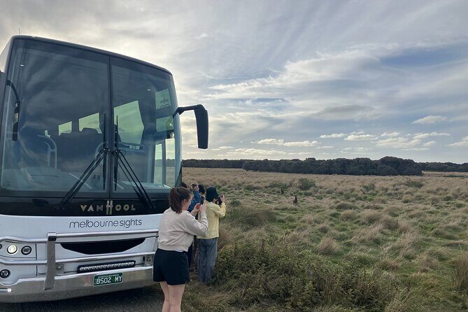 Phillip Island Tour - Koala's, Wallabies & Little Penguins. - Frequently Asked Questions