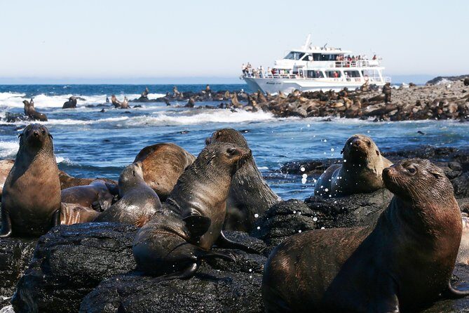 Phillip Island Whale Watching Tour - FAQ