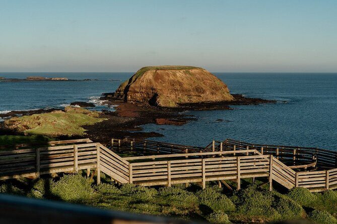 Phillip Island Wildlife Tour: Koalas, Penguins & Coastal Views - Exploring the Itinerary