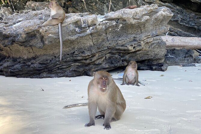 PhiPhi Maya Bay, Maiton island with Sunset by luxury Catamaran - FAQ