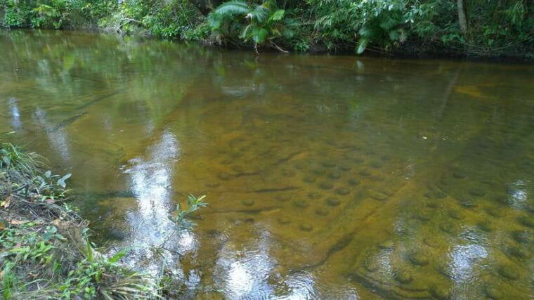 phnom-kulen-national-park-admission-ticket