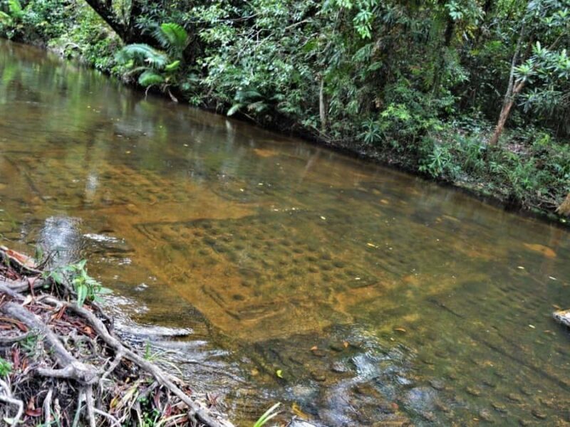 Phnom Kulen National Park Ticket Delivery Service - Price and Value