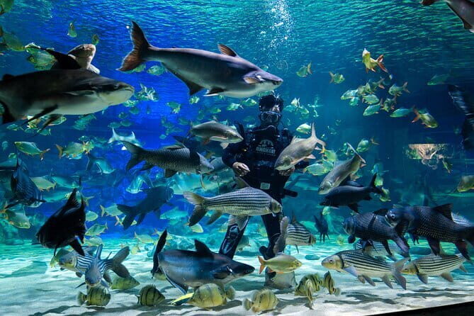 Phnom Kulen Waterfall & Banteay Srei Tour - FAQ